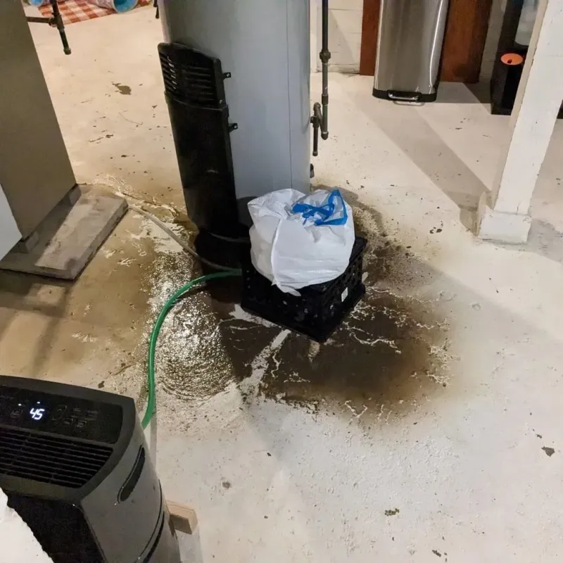 Sewage Backup Cleanup Service in Carbon Hill, AL